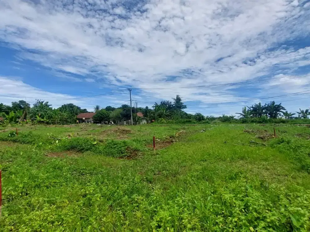 Kavling Cisauk 1Jt-an/m², lingkungan asri & Nyaman