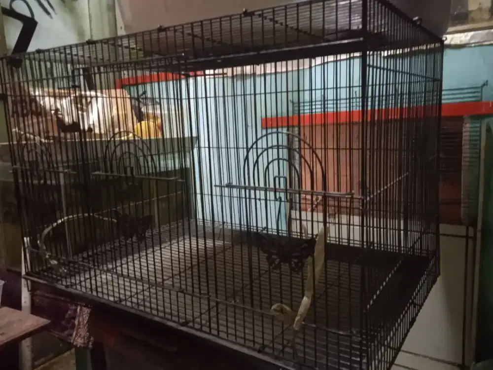 Sangkar burung besar