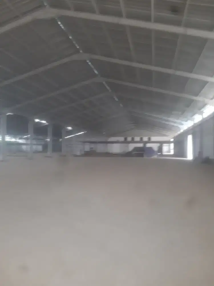 Renovasi dan Bangun Baru rumah,gudang,atau Pabrik Dll