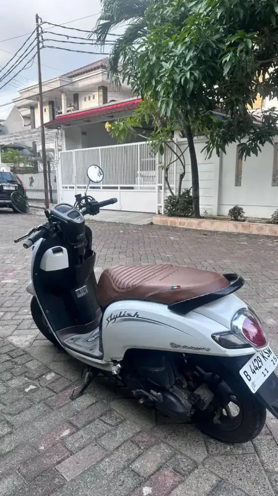 Scoopy Stylish 2020