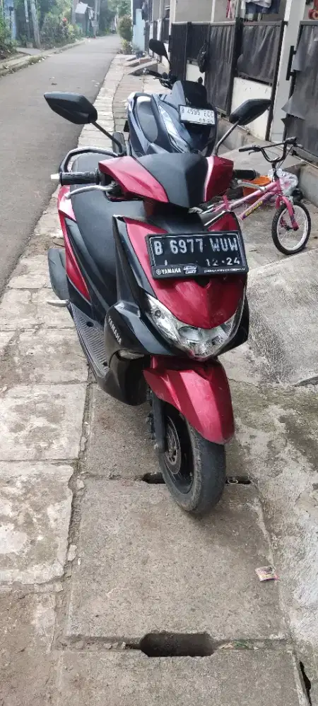 FREEGO 2019 PAJAK 0FF 5 TAHUN