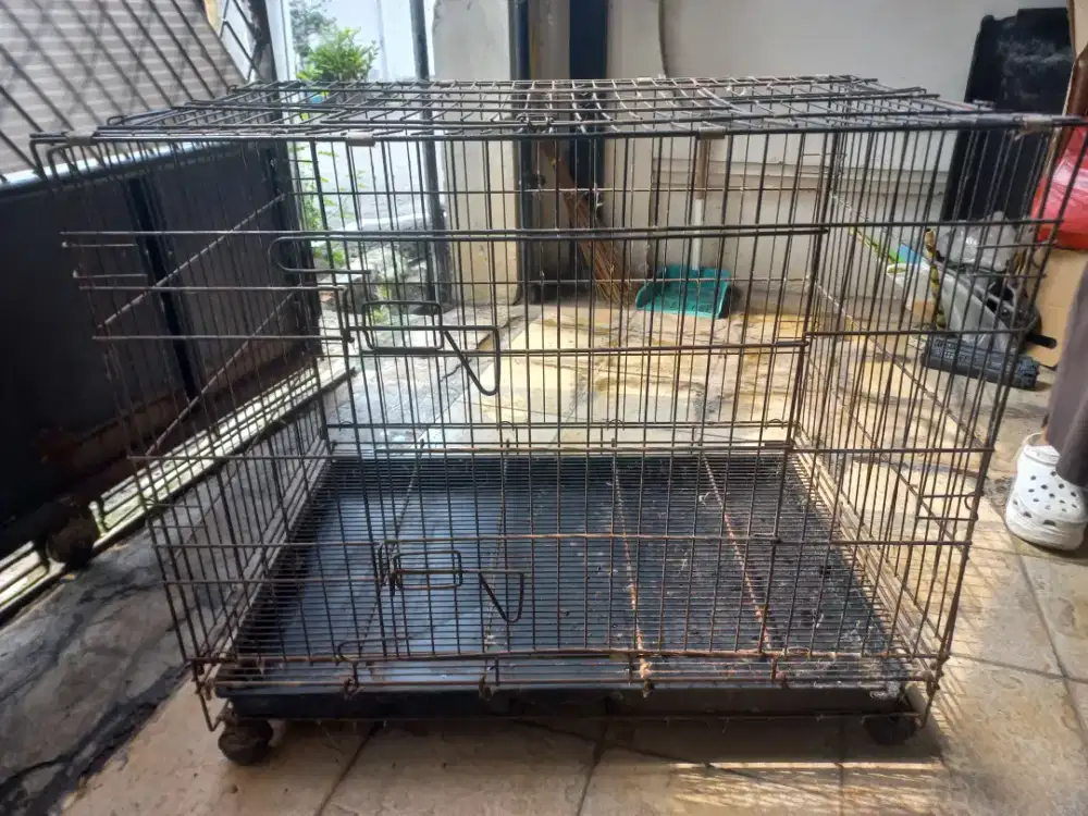 Dijual Kandang Kucing Second
