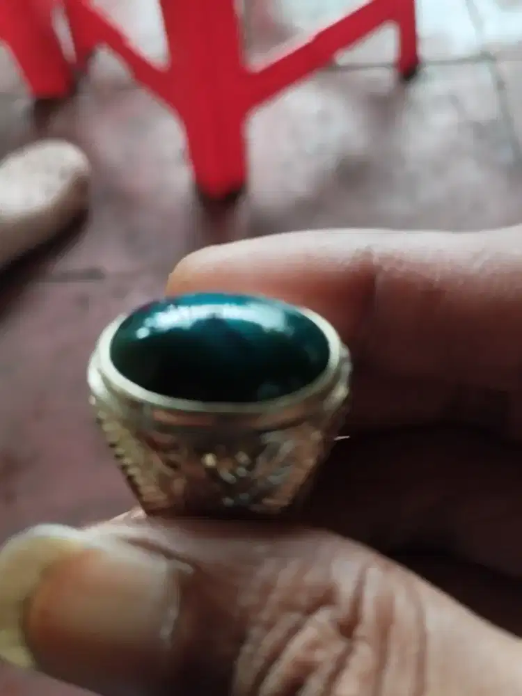 Bacan doko coklat totol