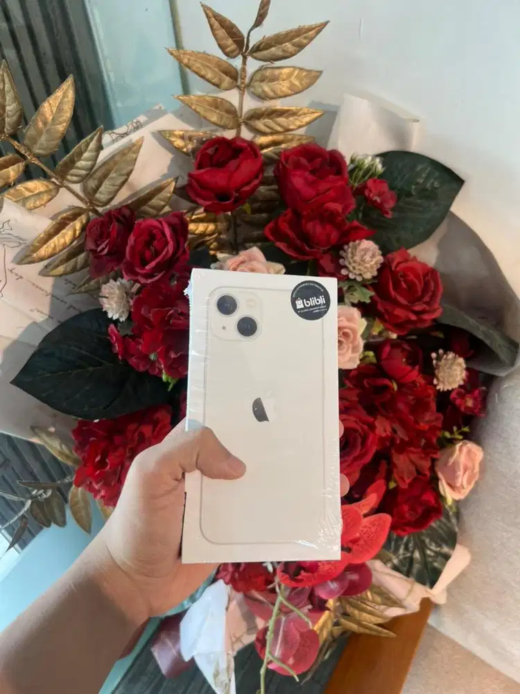 Iphone 13 new segel starlight