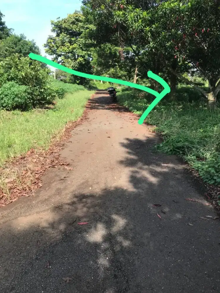 Dijual tanah di Perum Telaga Kahuripan, Kemang, Bogor