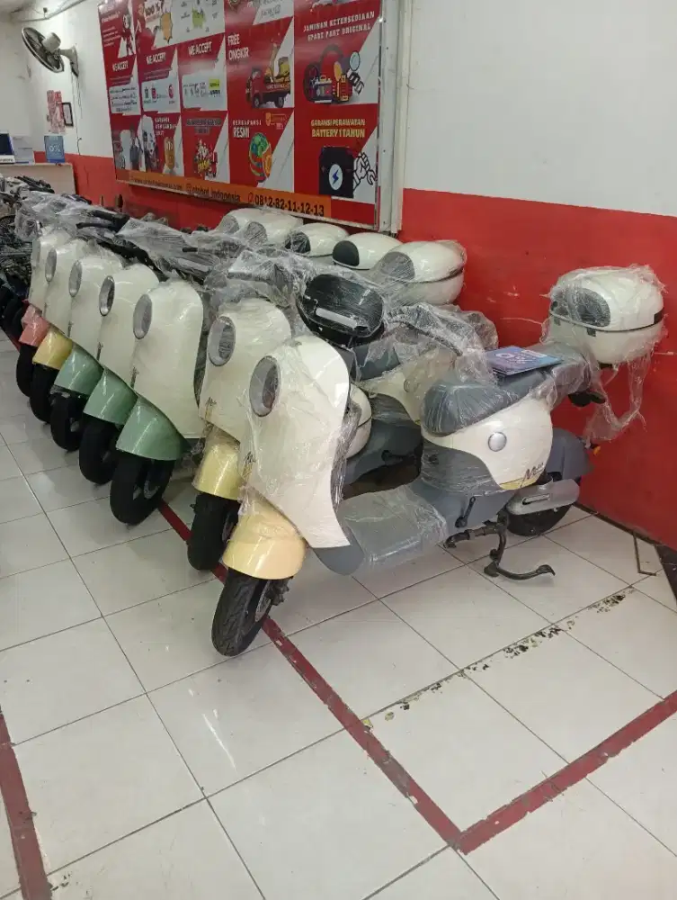 Sepeda listrik LUYUAN MODA 2