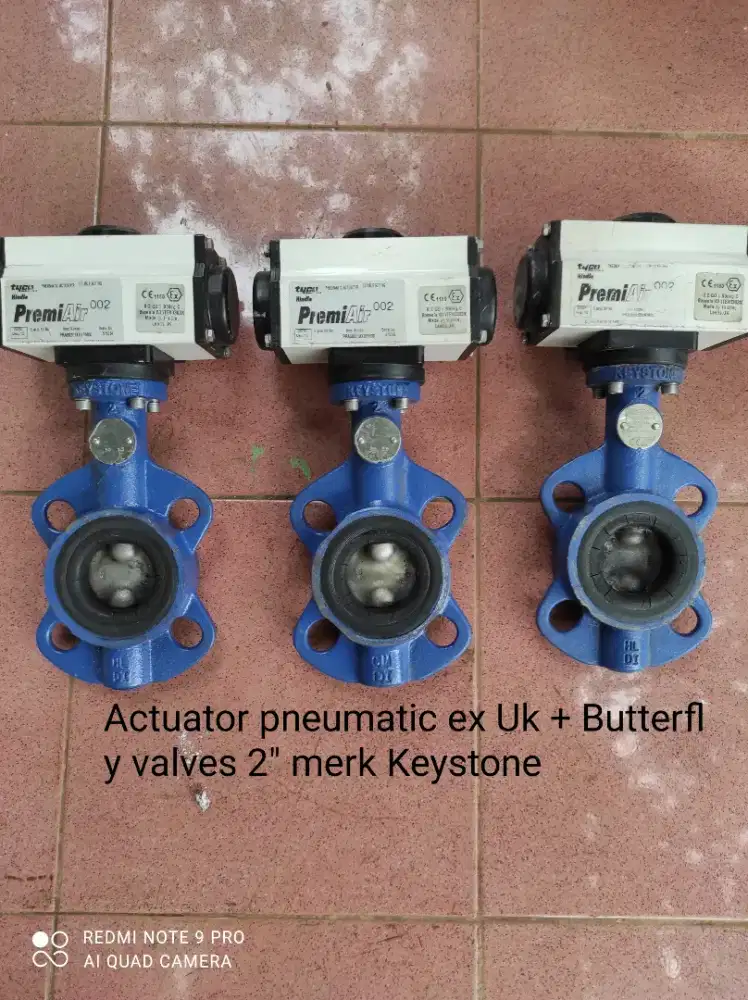 Pneumatic Actuator +Butterfly  Valves
