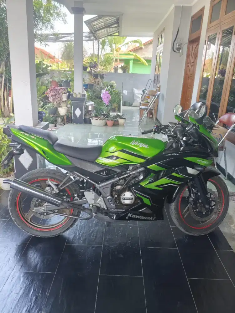 Kawasaki Ninja RR 150 Last Edition