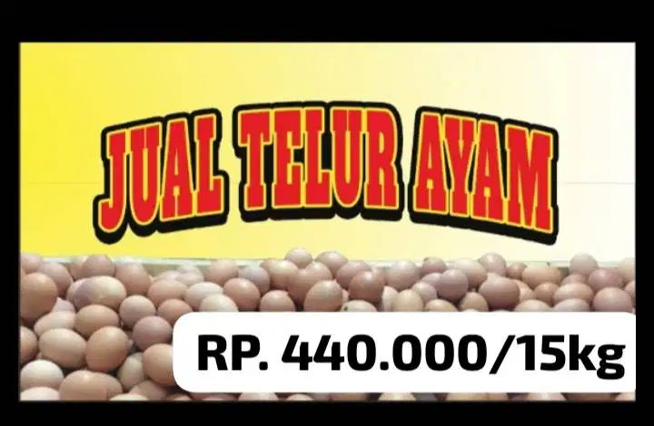 JUAL TELUR AYAM