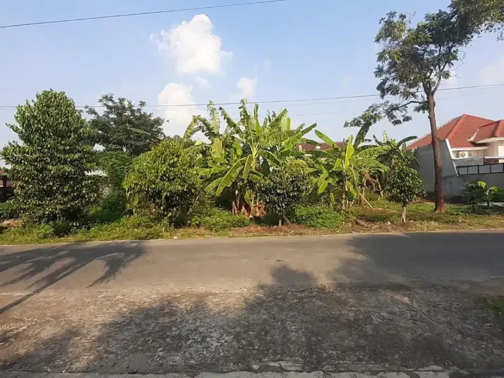 kavling strategis jl mulawarman dekat UNDIP TEMBALANG