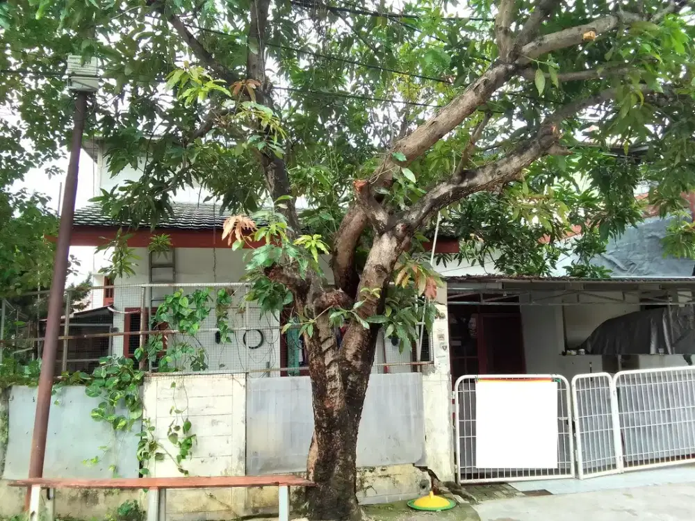 Rumah Asri di Jatiasih Dekat Grand Galaxy Park Bebas Banjir J-30829