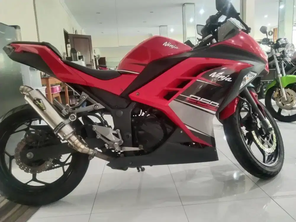 Kawasaki ninja 250R