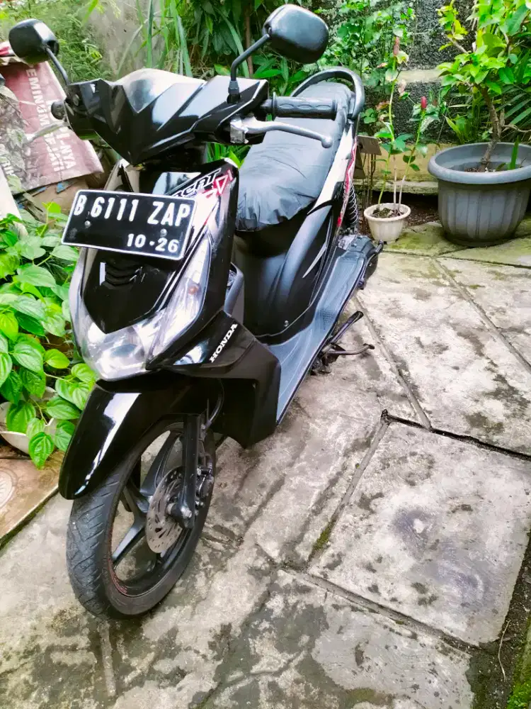 Beat Sehat Surat Lengkap Pajak hidup