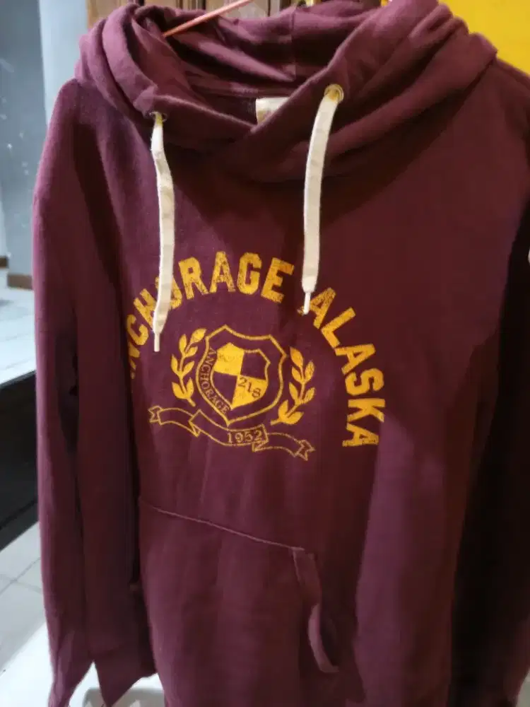 Sweater Hoody Merk LOGG dr H&M