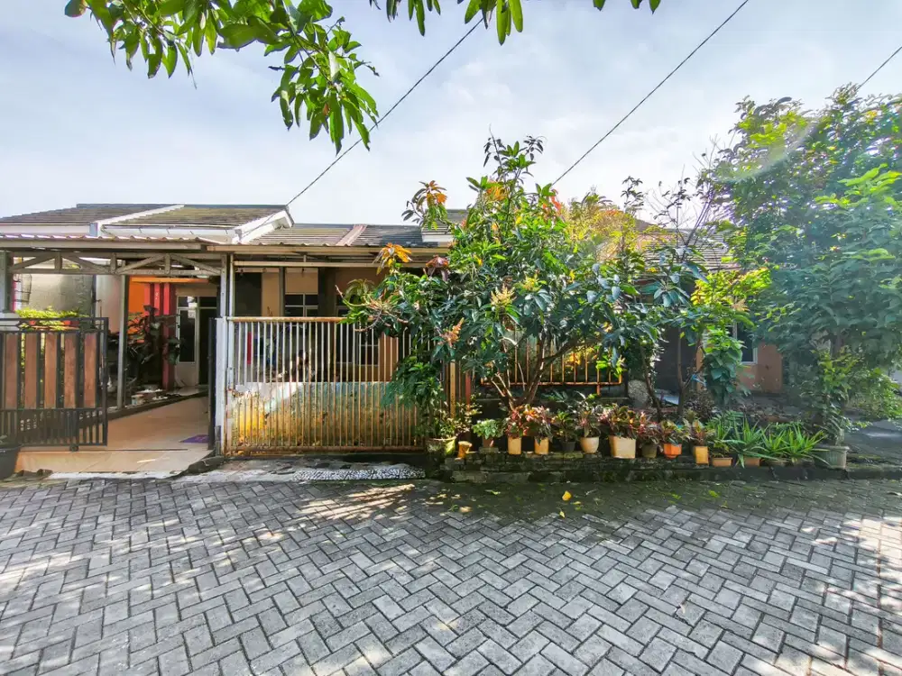 Dijual Rumah Minimalis 10 Menit ke Terminal Parung Dibantu KPR J-31074