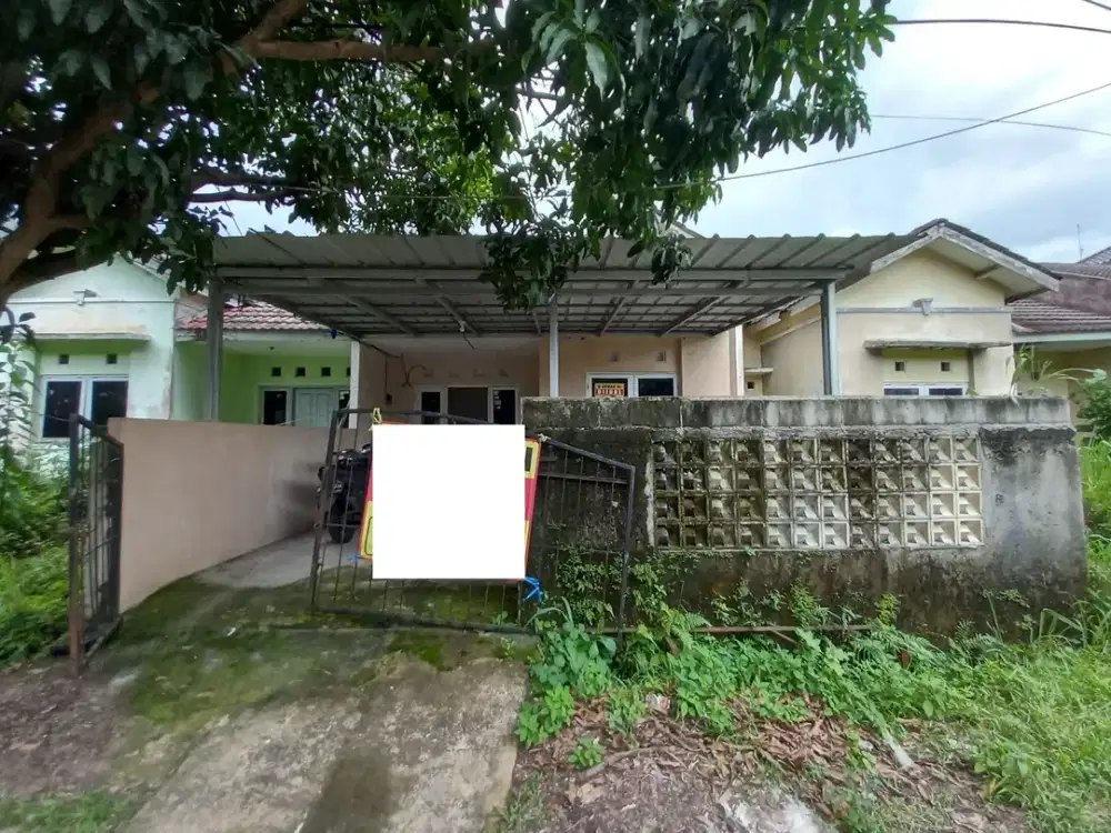 Jual Rumah 1 Lt Dekat Faskes di Ciseeng Siap Huni Bebas Banjir J-30847