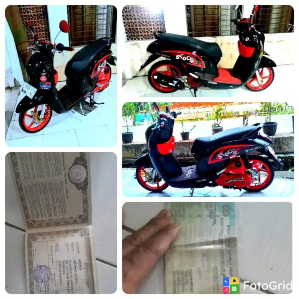 Scoopy BABY LOOK 2014 F1