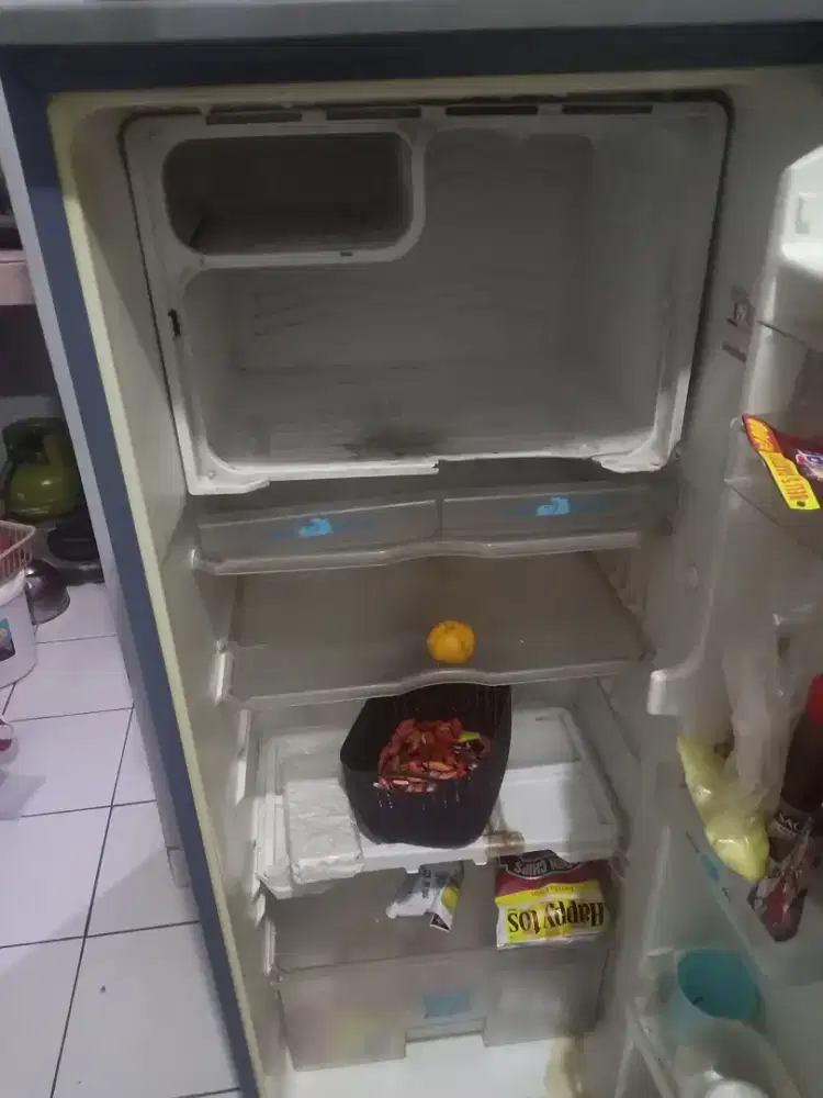 Kulkas bekas jumbo 1 pintu