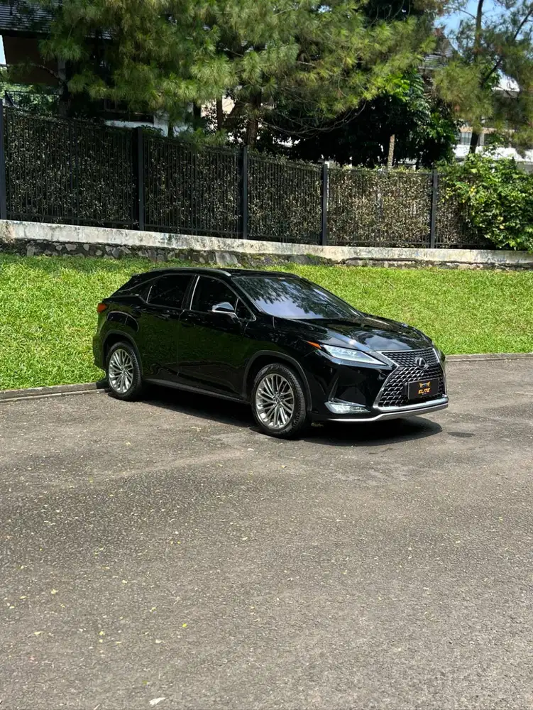 Lexus RX-300 Luxury  NIK 2019