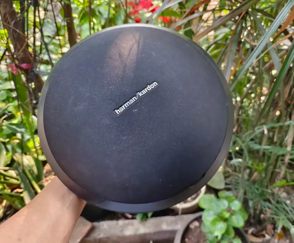 Harman kardon onyx 1