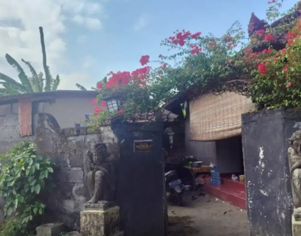 Rumah strategis dijual cepat hitungan tanah di antasura