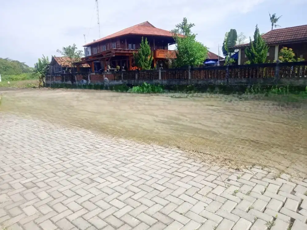Tanah Murah Dekat Jl. Damai, Cocok Untuk Villa Nyaman