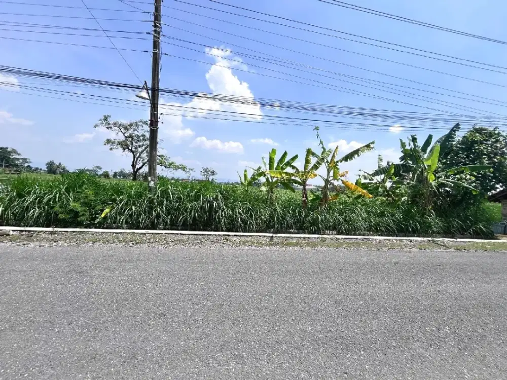 Tanah Usaha Mangku Aspal, Jl. Raya Sambiroto Sleman