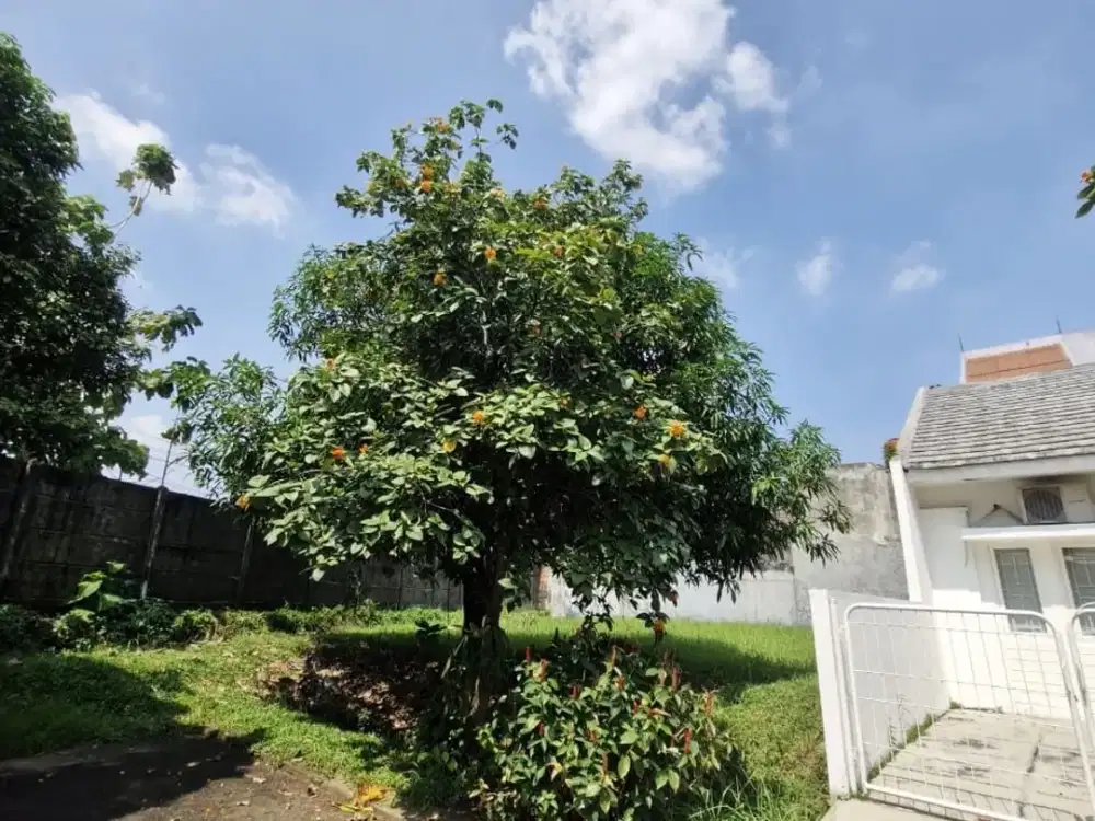 Kavling Griya Sutera Alam Sutera Luas 258m2 Bentuk Ngantong Hoki