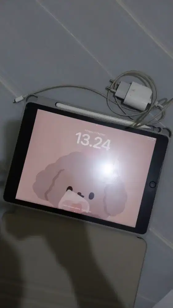 Jual Apple Ipad 9 256gb
