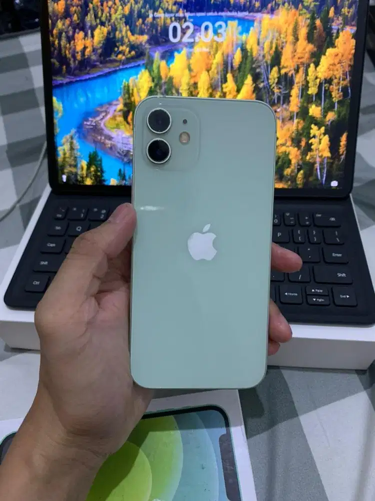 Jual iPhone 12 128 Gb