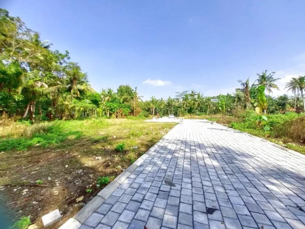 Tanah Dijual Tawangsari Dekat Kampus UAD 4 Kulon Progo