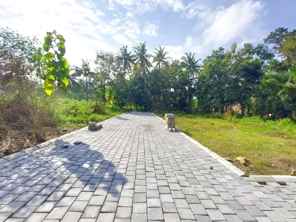 Tanah Investasi Jl. Wates Tawangsari Dekat Bandara YIA