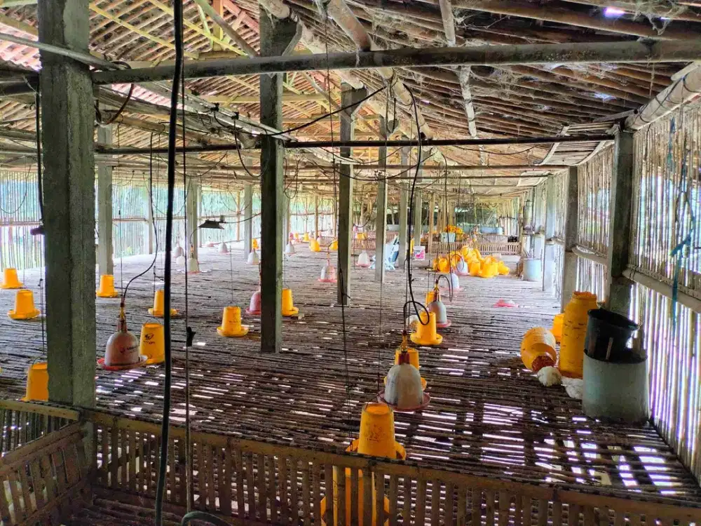 JUAL TANAH DAN KANDANG AYAM DI SENTOLO KULONPROGO