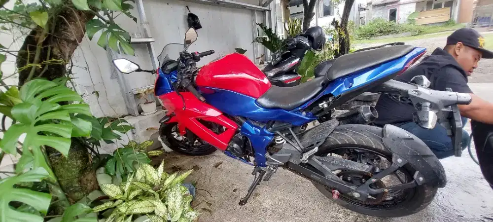 Ninja 250cc 2014