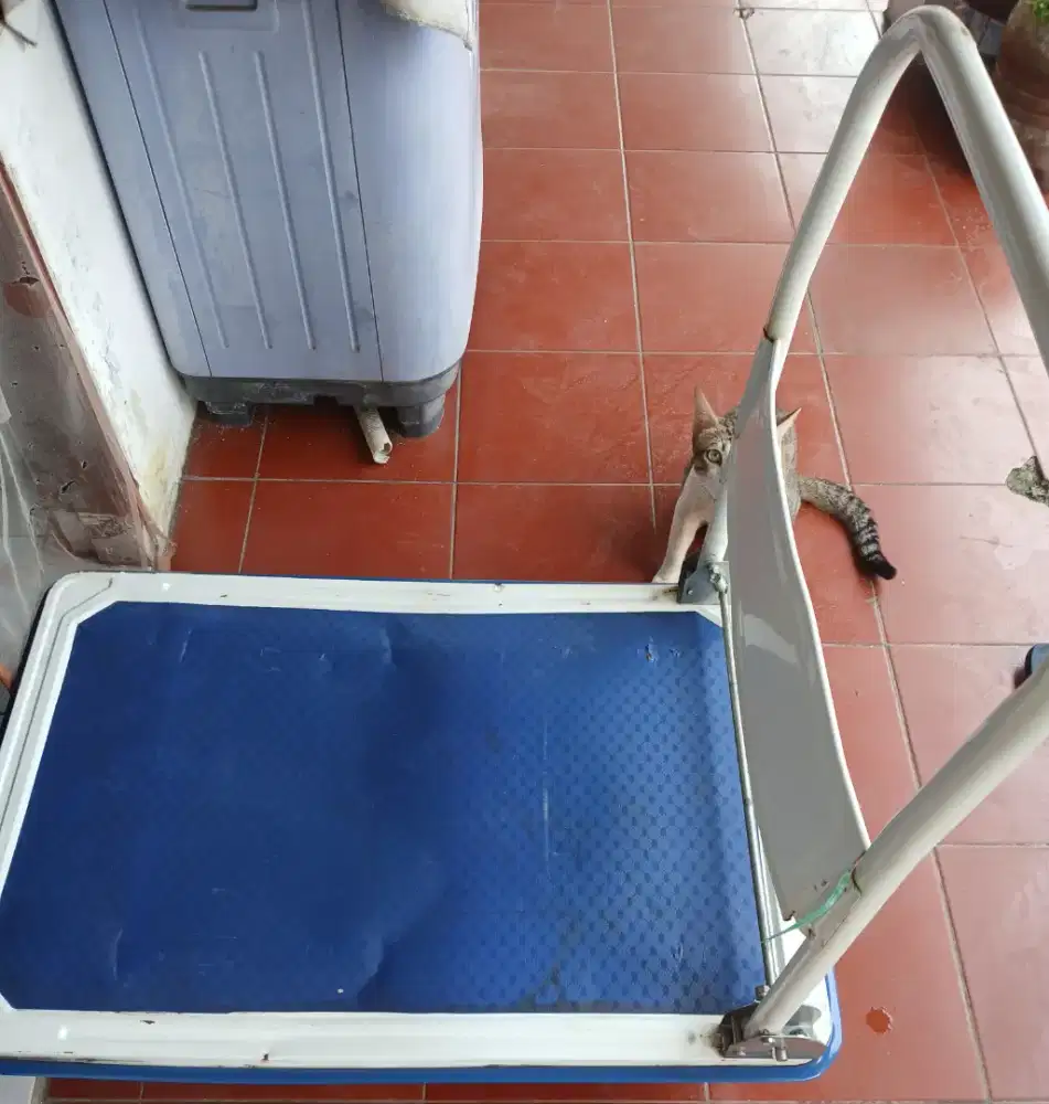 Troli Besi ukuran 150kg