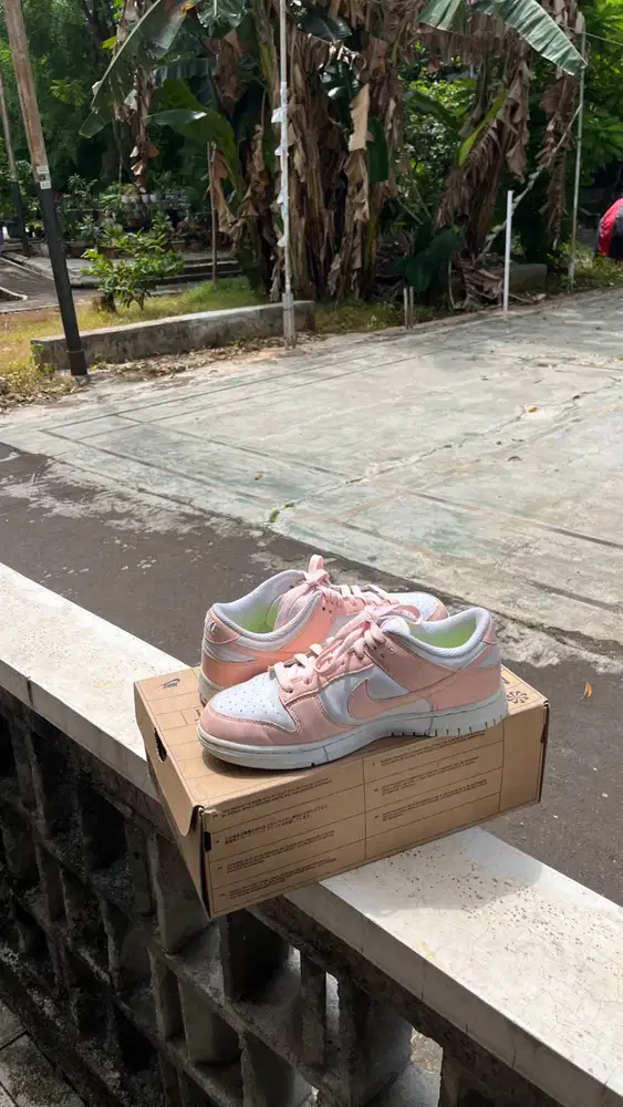 Nike Dunk Low Next Nature “Pale Coral”