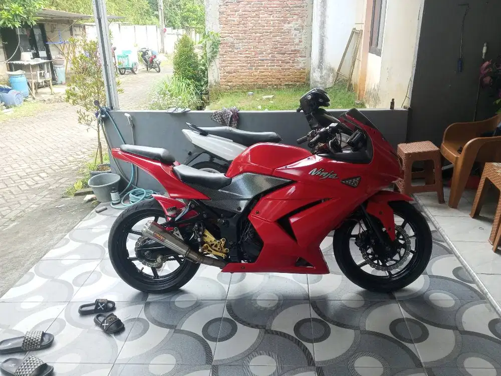 Ninja 250R karbu