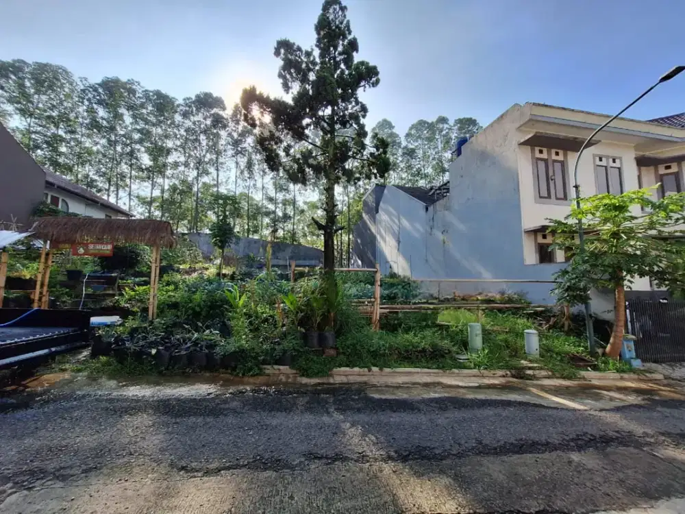 Tanah Kavling Kotak di Setraduta Cemara Setra Duta