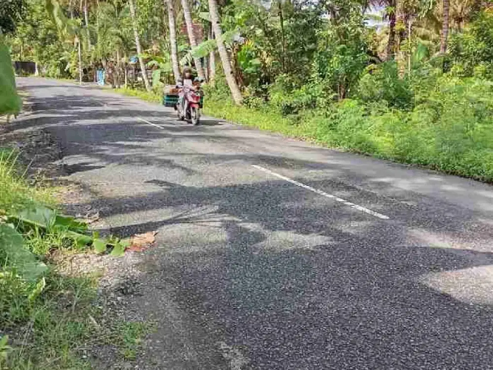 JUAL TANAH DI JALAN UTAMA DI BOJONG PANJATAN KULONPROGO