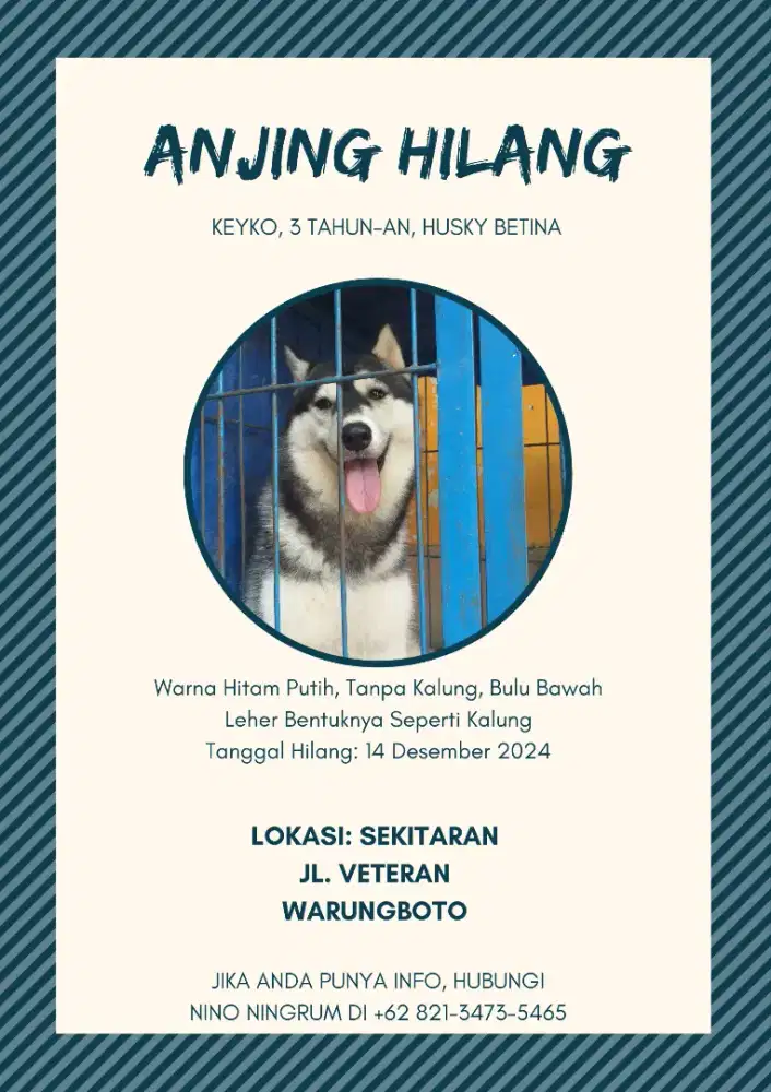 Jasa Cepat Bikin Poster Hewan Hilang