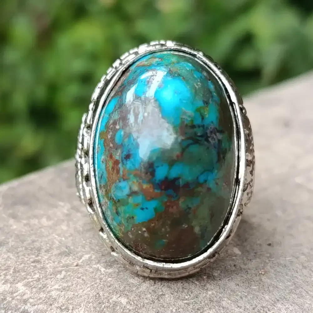 Pirus Persia Tosca Big