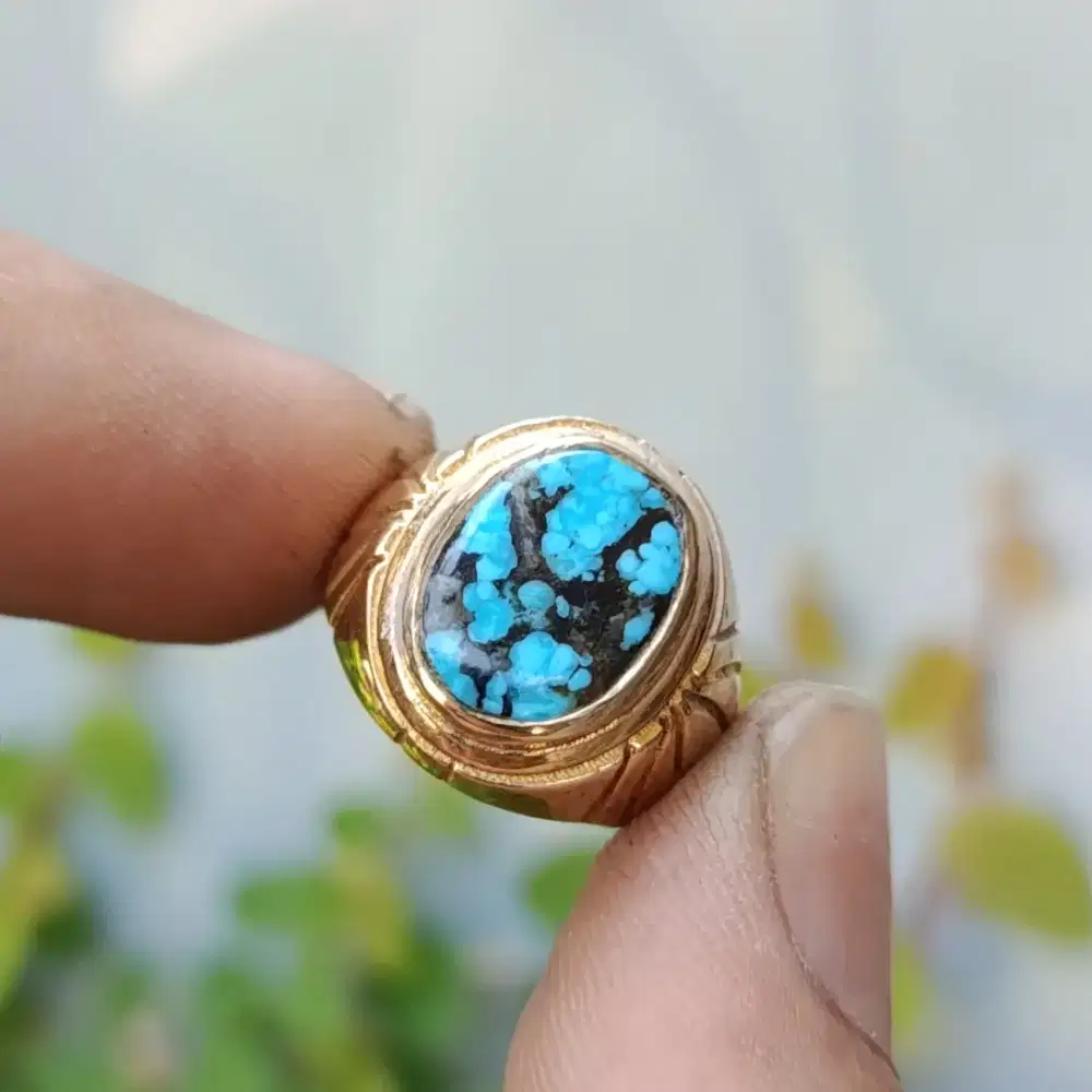 Pirus Persia Fancy Cerah