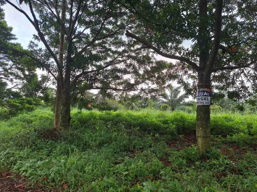 Jual Kav di Telaga Kahuripan , Kab Bogor