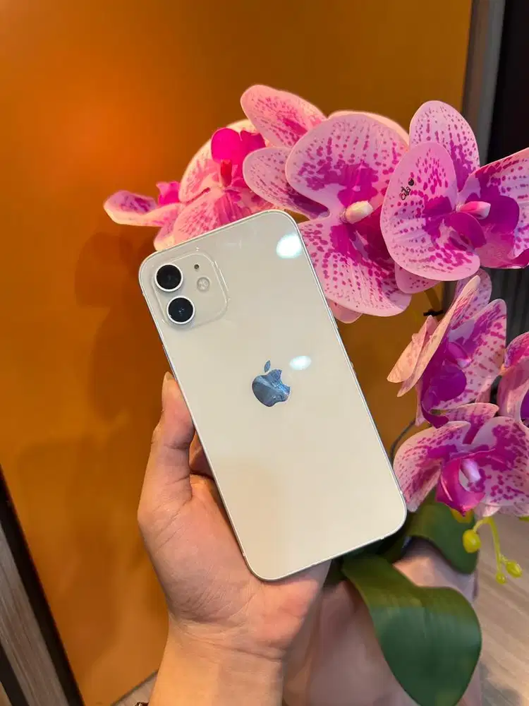 iphone 12 128gb beacukai