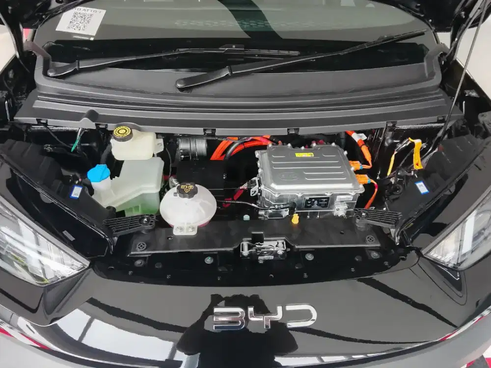 BYD Atto 1 SPROUT GREEN