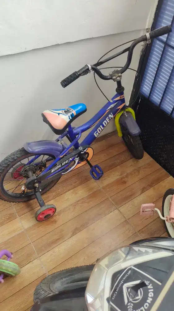 Sepeda anak roda 3 biru