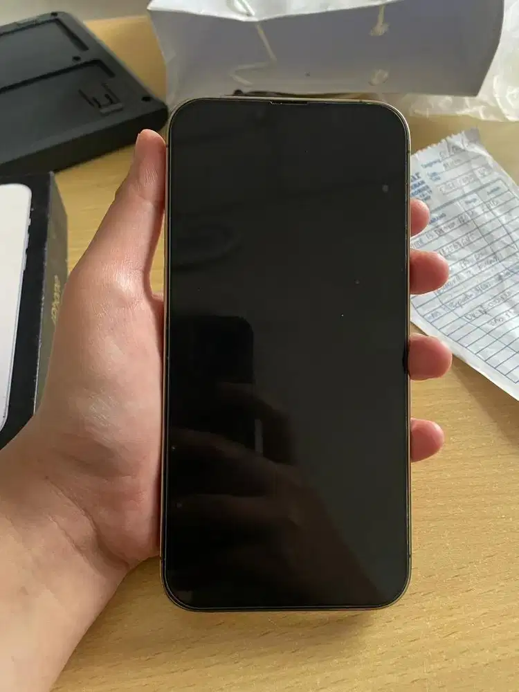 Ip 13 promax 128 inter