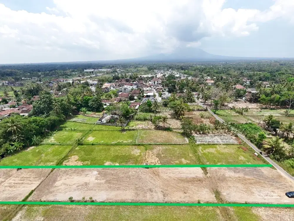 Tanah Murah Dekat PonPes Pandanaran, Lingkungan Asri