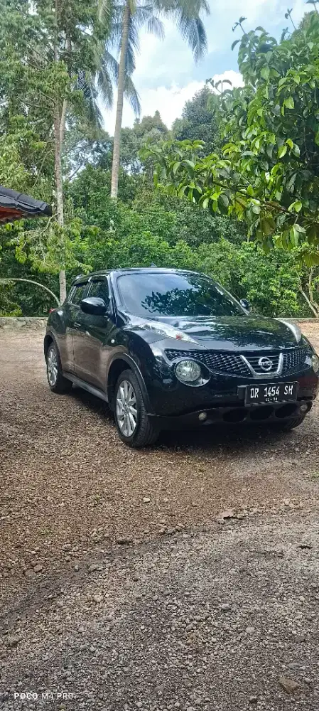 NISAN JUKE RX  2013.