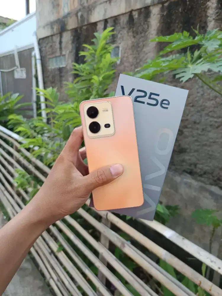vivo v25e 8+4/256